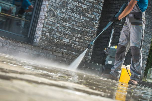 Best Pool Deck Cleaning in Shingle Springs, CA