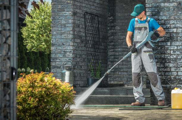 Best Vinyl Siding Pressure Washing in Shingle Springs, CA