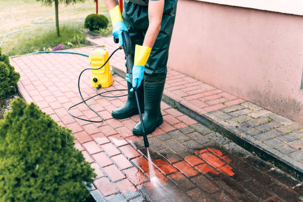 Best Window and Screen Pressure Cleaning in Shingle Springs, CA