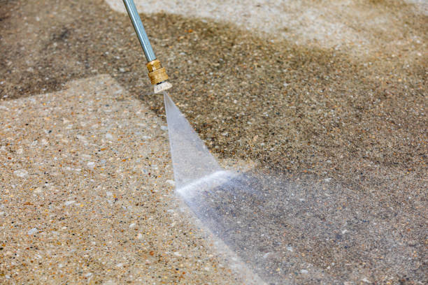 Best Soft Washing for Delicate Surfaces in Shingle Springs, CA