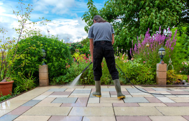 Best Fence Cleaning and Maintenance in Shingle Springs, CA